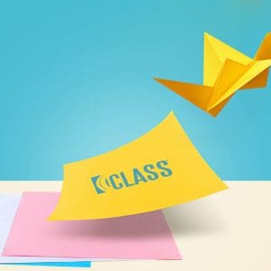 Observations des interactions et soutien pédagogiques avec l'outils CLASS® dans votre milieu (tarif/heure)